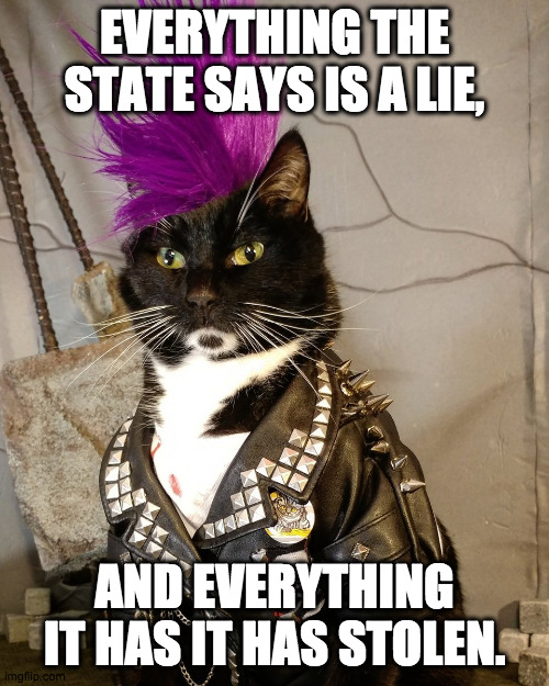 Anarchist cat |  EVERYTHING THE STATE SAYS IS A LIE, AND EVERYTHING IT HAS IT HAS STOLEN. | image tagged in punk rock,anarchy,anarchism,kitty,cat,rebel | made w/ Imgflip meme maker