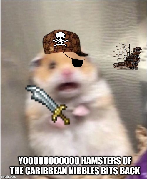 YOOOOOOOOOOOOOOO | YOOOOOOOOOOO HAMSTERS OF THE CARIBBEAN NIBBLES BITS BACK | image tagged in scared hamster | made w/ Imgflip meme maker