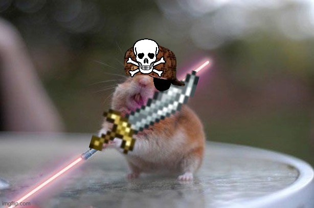 lololooloollololololololoolollolololololooklolo | image tagged in star wars hamster | made w/ Imgflip meme maker