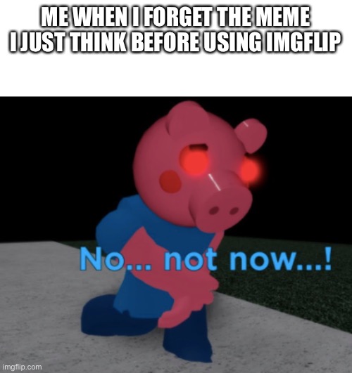 Title | ME WHEN I FORGET THE MEME I JUST THINK BEFORE USING IMGFLIP | image tagged in no not now | made w/ Imgflip meme maker