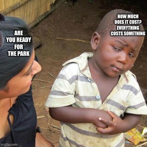 Third World Skeptical Kid | HOW MUCH DOES IT COST? EVERYTHING COSTS SOMETHING; ARE YOU READY FOR THE PARK | image tagged in memes,third world skeptical kid | made w/ Imgflip meme maker