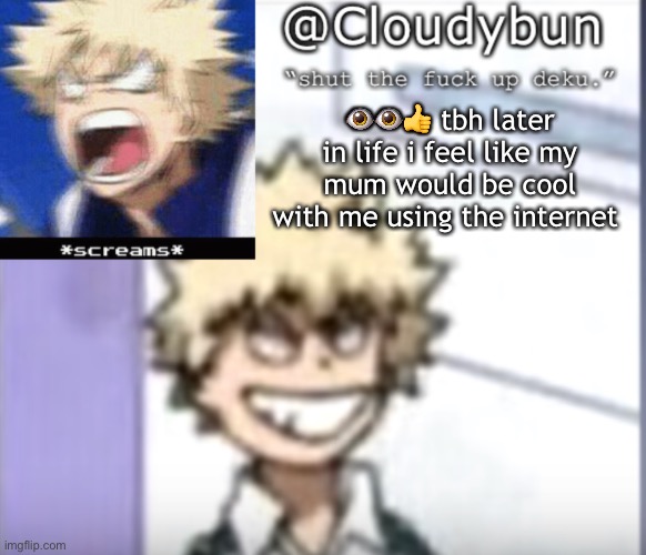 discord and stuff yk, and imgflip for sure | 👁👁👍 tbh later in life i feel like my mum would be cool with me using the internet | image tagged in bakuhoe | made w/ Imgflip meme maker