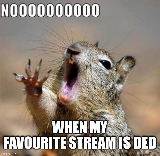 Noooo | WHEN MY FAVOURITE STREAM IS DED | image tagged in noooooooooooooooooooooooo | made w/ Imgflip meme maker