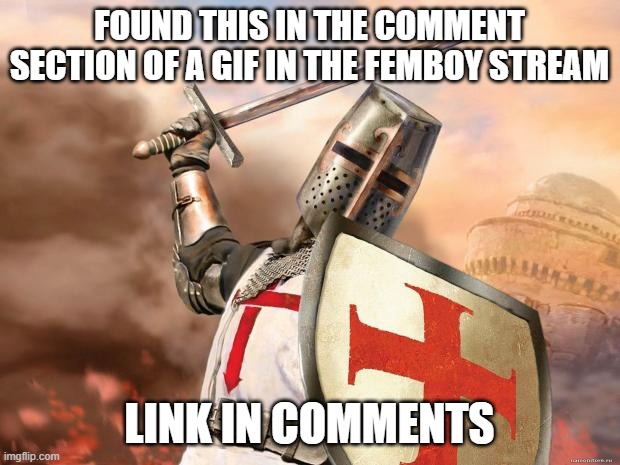 link in comments | FOUND THIS IN THE COMMENT SECTION OF A GIF IN THE FEMBOY STREAM; LINK IN COMMENTS | image tagged in crusader | made w/ Imgflip meme maker