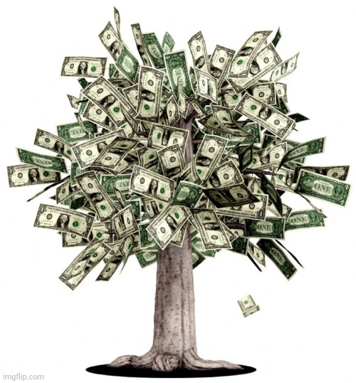 Money Tree | image tagged in money tree | made w/ Imgflip meme maker