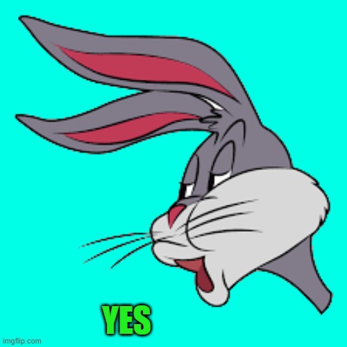 YES | image tagged in bunny | made w/ Imgflip meme maker