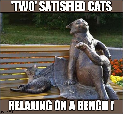 To Make You Smile |  'TWO' SATISFIED CATS; RELAXING ON A BENCH ! | image tagged in cats,relaxing,statue | made w/ Imgflip meme maker