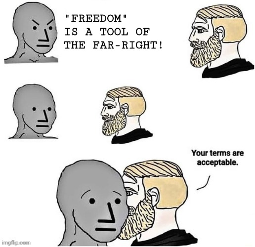 i'll take it | "FREEDOM" IS A TOOL OF THE FAR-RIGHT! | image tagged in your terms are acceptable | made w/ Imgflip meme maker