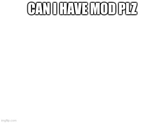 Blank White Template | CAN I HAVE MOD PLZ | image tagged in blank white template | made w/ Imgflip meme maker