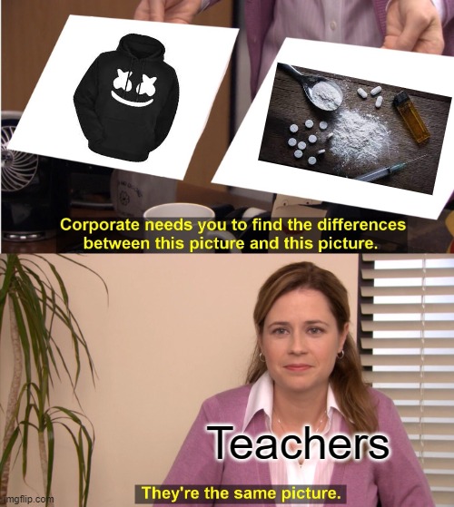 They're The Same Picture | Teachers | image tagged in memes,they're the same picture | made w/ Imgflip meme maker