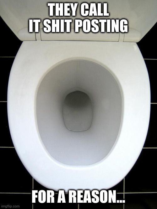 TOILET | THEY CALL IT SHIT POSTING; FOR A REASON... | image tagged in toilet | made w/ Imgflip meme maker