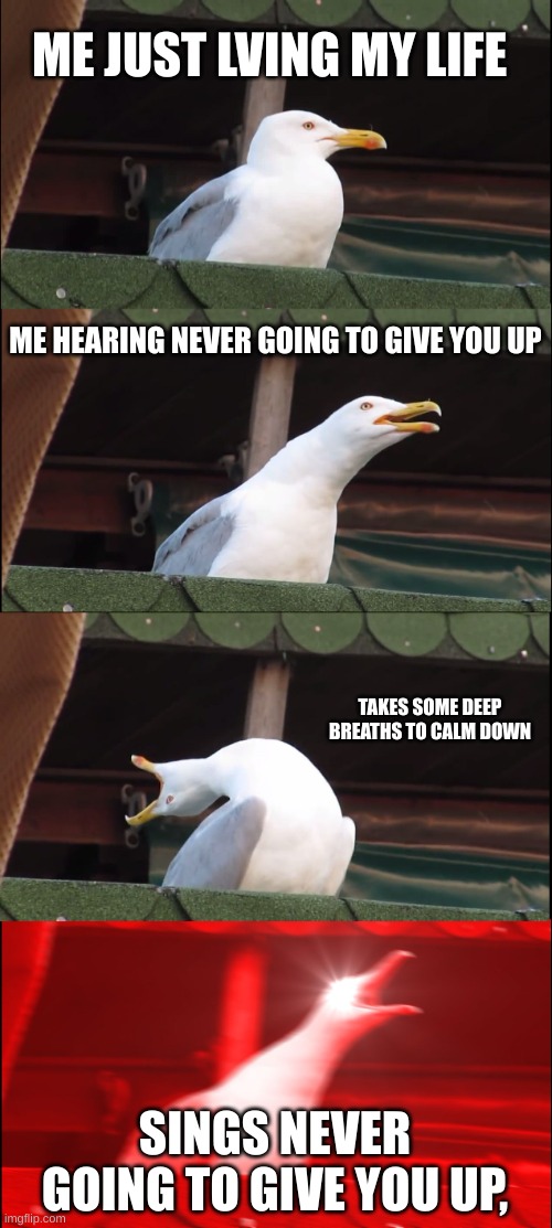 seagulls hate never going to give you up | ME JUST LVING MY LIFE; ME HEARING NEVER GOING TO GIVE YOU UP; TAKES SOME DEEP BREATHS TO CALM DOWN; SINGS NEVER GOING TO GIVE YOU UP, | image tagged in memes,inhaling seagull,lol so funny | made w/ Imgflip meme maker