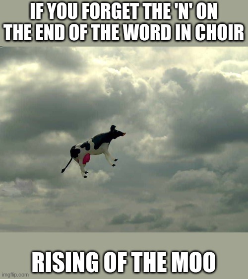 Cows can fly | IF YOU FORGET THE 'N' ON THE END OF THE WORD IN CHOIR; RISING OF THE MOO | image tagged in cows can fly | made w/ Imgflip meme maker