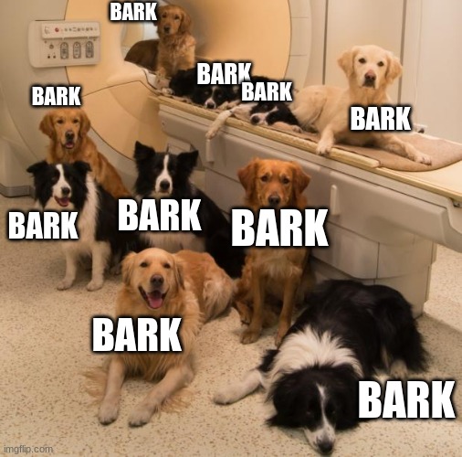 Dogs in MRI machine | BARK; BARK; BARK; BARK; BARK; BARK; BARK; BARK; BARK; BARK | image tagged in dogs in mri machine | made w/ Imgflip meme maker