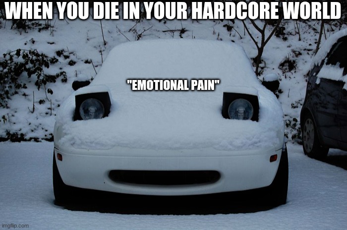 Snow Miata | WHEN YOU DIE IN YOUR HARDCORE WORLD; "EMOTIONAL PAIN" | image tagged in snow miata | made w/ Imgflip meme maker