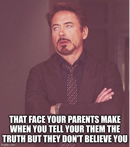 omg parents just don't get it |  THAT FACE YOUR PARENTS MAKE WHEN YOU TELL YOUR THEM THE TRUTH BUT THEY DON'T BELIEVE YOU | image tagged in memes,face you make robert downey jr | made w/ Imgflip meme maker
