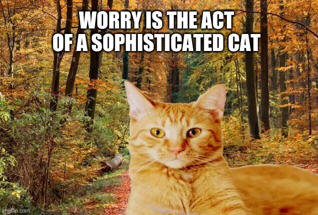 Be Simple. Just Be. | WORRY IS THE ACT
OF A SOPHISTICATED CAT | image tagged in cat,meditation,meditate,don't worry be happy,i love you,relax | made w/ Imgflip meme maker