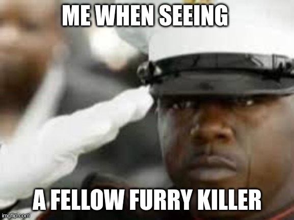 respect the fellow anti furs | ME WHEN SEEING; A FELLOW FURRY KILLER | image tagged in sad salute | made w/ Imgflip meme maker