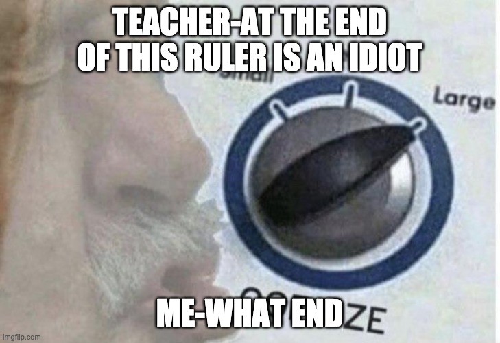 Oof size large | TEACHER-AT THE END OF THIS RULER IS AN IDIOT; ME-WHAT END | image tagged in oof size large | made w/ Imgflip meme maker
