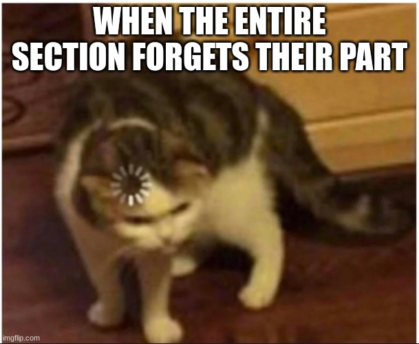 Confused loading cat | WHEN THE ENTIRE SECTION FORGETS THEIR PART | image tagged in confused loading cat | made w/ Imgflip meme maker