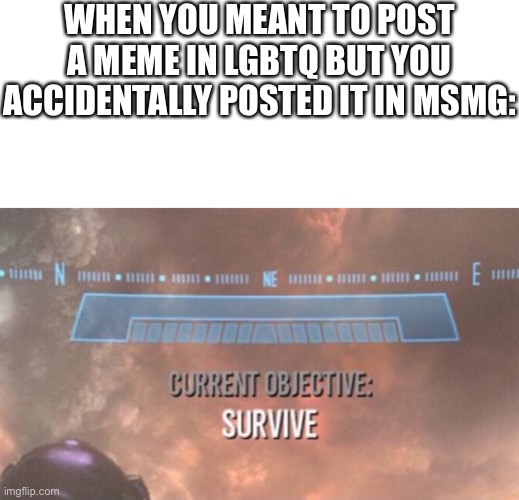 WHEN YOU MEANT TO POST A MEME IN LGBTQ BUT YOU ACCIDENTALLY POSTED IT IN MSMG: | image tagged in blank text bar,current objective survive | made w/ Imgflip meme maker