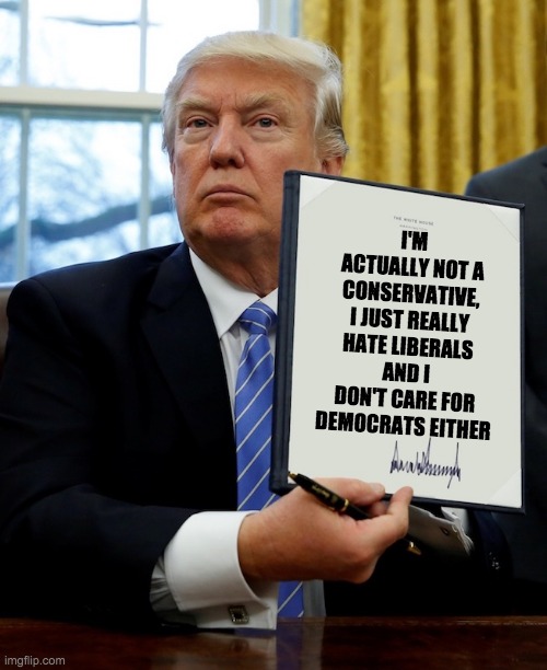 liberal hate - rohb/rupe | I'M ACTUALLY NOT A CONSERVATIVE, I JUST REALLY HATE LIBERALS AND I DON'T CARE FOR DEMOCRATS EITHER | image tagged in donald trump blank executive order | made w/ Imgflip meme maker
