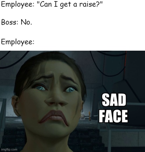 Employee life | Employee: "Can I get a raise?"; Boss: No. Employee: | image tagged in sad chell,work,work sucks,employees,raise | made w/ Imgflip meme maker