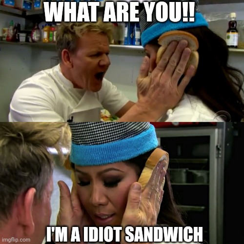 Dam | WHAT ARE YOU!! I'M A IDIOT SANDWICH | image tagged in gordon ramsay idiot sandwich | made w/ Imgflip meme maker