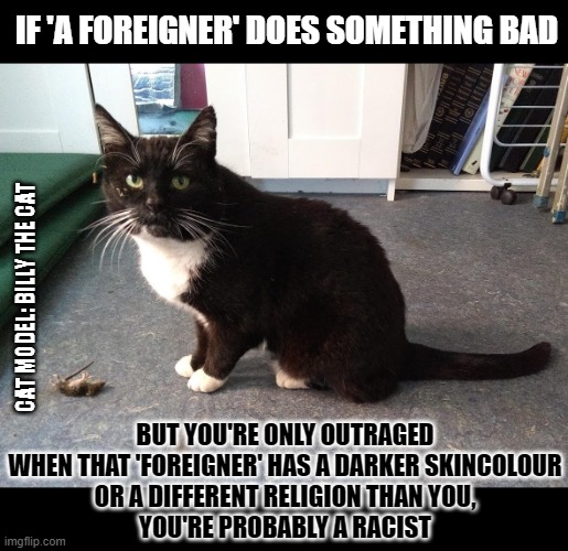 What's your definition of 'a foreigner'? | IF 'A FOREIGNER' DOES SOMETHING BAD; CAT MODEL: BILLY THE CAT; BUT YOU'RE ONLY OUTRAGED
WHEN THAT 'FOREIGNER' HAS A DARKER SKINCOLOUR
OR A DIFFERENT RELIGION THAN YOU,
YOU'RE PROBABLY A RACIST | image tagged in think about it,lolcat,black and white,racism | made w/ Imgflip meme maker