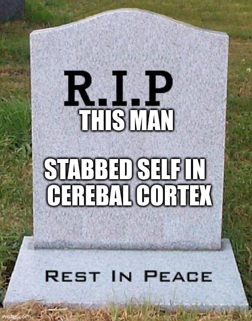RIP headstone | THIS MAN STABBED SELF IN  
CEREBAL CORTEX | image tagged in rip headstone | made w/ Imgflip meme maker