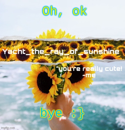 yacht's sunflower temp (THANK YOU SUGA) | Oh, ok; bye :} | image tagged in yacht's sunflower temp thank you suga | made w/ Imgflip meme maker