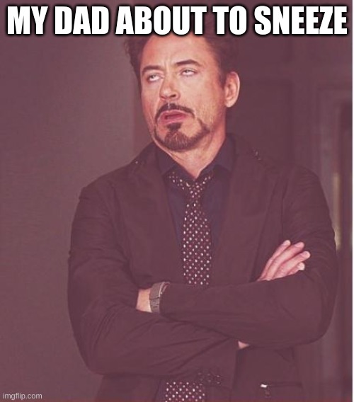 my dad | MY DAD ABOUT TO SNEEZE | image tagged in memes,face you make robert downey jr | made w/ Imgflip meme maker