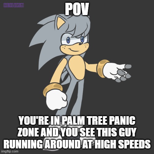 Romance/Action rp, can be either one or both. No joke or military ocs allowed | POV; YOU'RE IN PALM TREE PANIC ZONE AND YOU SEE THIS GUY RUNNING AROUND AT HIGH SPEEDS | image tagged in roleplay,sonic the hedgehog | made w/ Imgflip meme maker