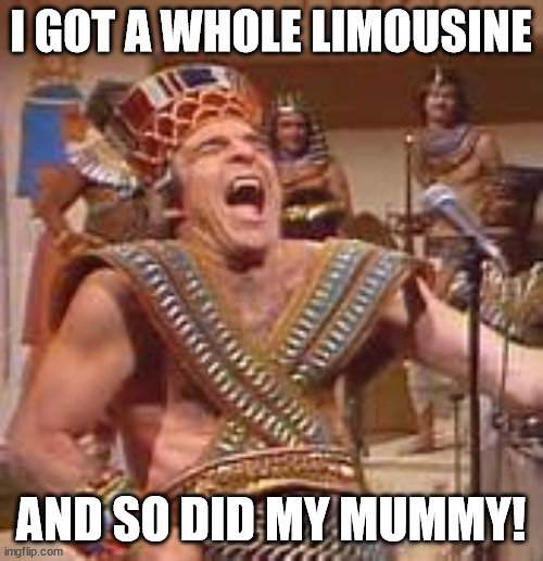 Steve Martin Egyptian | I GOT A WHOLE LIMOUSINE AND SO DID MY MUMMY! | image tagged in steve martin egyptian | made w/ Imgflip meme maker