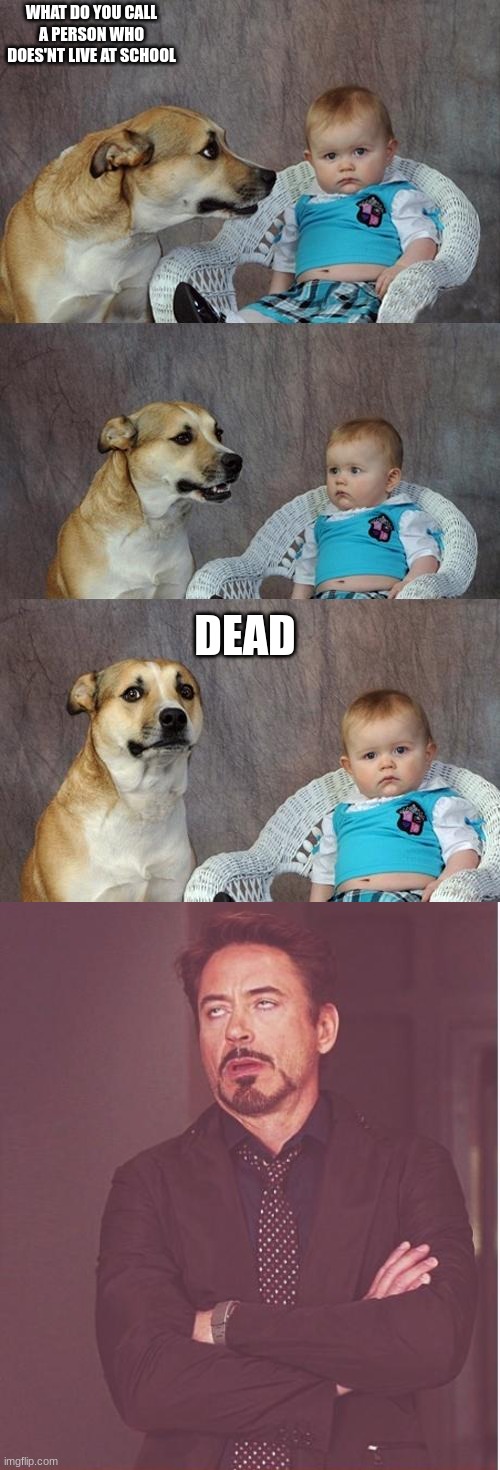 Jokes | WHAT DO YOU CALL A PERSON WHO DOES'NT LIVE AT SCHOOL; DEAD | image tagged in memes,dad joke dog,face you make robert downey jr | made w/ Imgflip meme maker