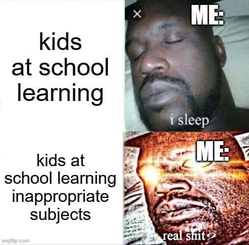 not cool bro | ME:; kids at school learning; ME:; kids at school learning inappropriate subjects | image tagged in memes,sleeping shaq | made w/ Imgflip meme maker