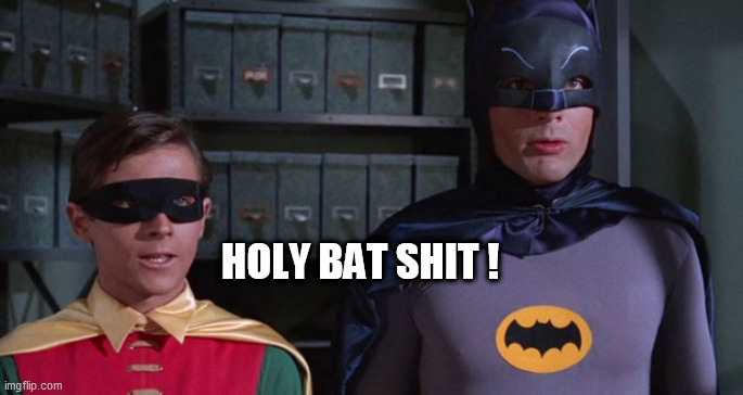 BATMAN | HOLY BAT SHIT ! | image tagged in batman | made w/ Imgflip meme maker