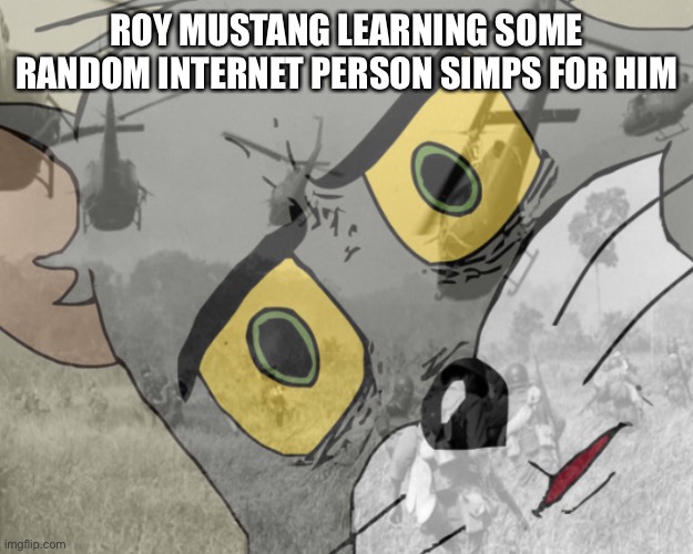 Unsettled tom vietnam | ROY MUSTANG LEARNING SOME RANDOM INTERNET PERSON SIMPS FOR HIM | image tagged in unsettled tom vietnam | made w/ Imgflip meme maker