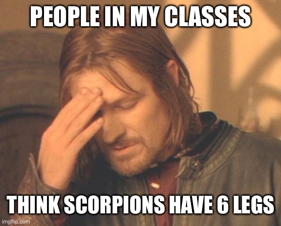 It has 8 legs, and its claws are modified mouthparts. | PEOPLE IN MY CLASSES; THINK SCORPIONS HAVE 6 LEGS | image tagged in memes,frustrated boromir | made w/ Imgflip meme maker