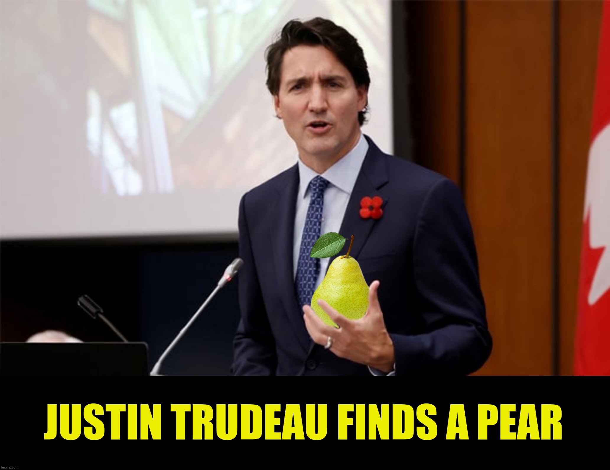 Justin Dildeau | JUSTIN TRUDEAU FINDS A PEAR | image tagged in bad photoshop,justin trudeau,justin dildeau,a pear,a pair | made w/ Imgflip meme maker