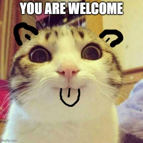 YOU ARE WELCOME | image tagged in memes,smiling cat | made w/ Imgflip meme maker