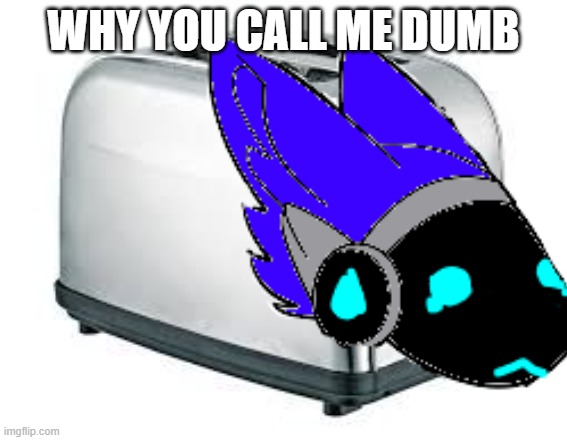 WHY YOU CALL ME DUMB | made w/ Imgflip meme maker