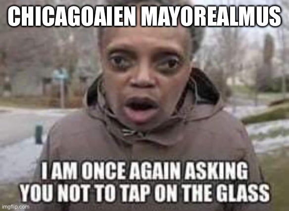 Don’t Tap the glass | CHICAGOAIEN MAYOREALMUS | image tagged in fun,meme,happy,demotivationals | made w/ Imgflip meme maker