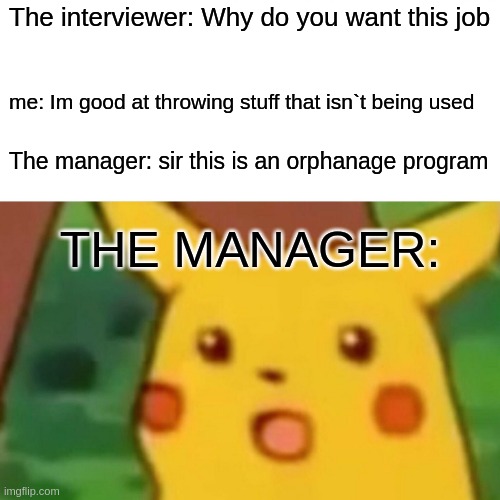 sir... this is an orphanage program... | The interviewer: Why do you want this job; me: Im good at throwing stuff that isn`t being used; The manager: sir this is an orphanage program; THE MANAGER: | image tagged in memes,surprised pikachu | made w/ Imgflip meme maker