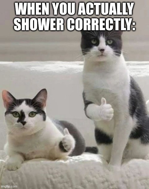 THUMBS UP CATS | WHEN YOU ACTUALLY SHOWER CORRECTLY: | image tagged in thumbs up cats | made w/ Imgflip meme maker