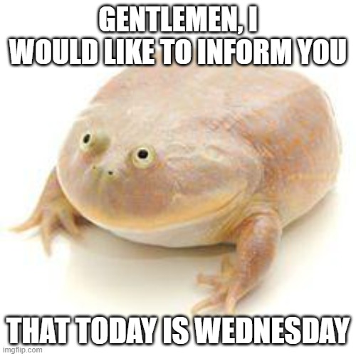 Wednesday Frog Blank | GENTLEMEN, I WOULD LIKE TO INFORM YOU; THAT TODAY IS WEDNESDAY | image tagged in wednesday frog blank | made w/ Imgflip meme maker