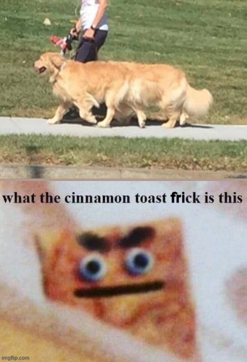 What the frick | image tagged in what the cinnamon toast frick is this | made w/ Imgflip meme maker
