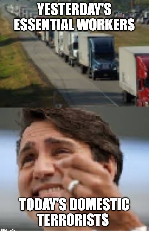 Trudeau is a butthole | YESTERDAY'S ESSENTIAL WORKERS; TODAY'S DOMESTIC TERRORISTS | image tagged in canada | made w/ Imgflip meme maker