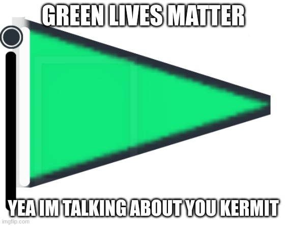 Green Flag | GREEN LIVES MATTER; YEA IM TALKING ABOUT YOU KERMIT | image tagged in green flag | made w/ Imgflip meme maker