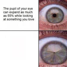 High Quality your pupil expands looking at someone you love Blank Meme Template